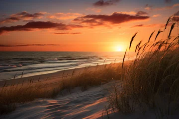 Papier Peint photo Mer du Nord, Pays-Bas Sunset on natural dune beach