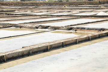Salinas de Aveiro, salt pans of Aveiro