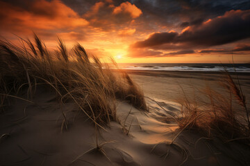 Sunset on natural dune beach