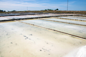 Salinas de Aveiro, salt pans of Aveiro