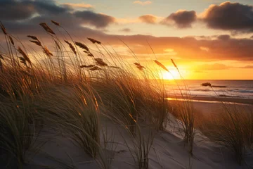 Deurstickers Noordzee, Nederland Sunset on natural dune beach