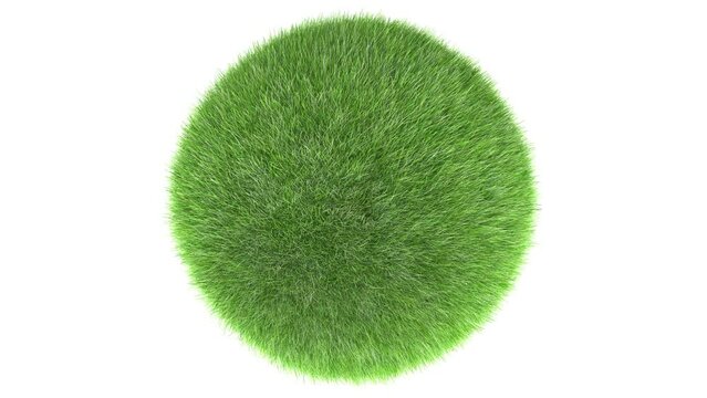 Video of 3d Green Grass Circle on White Background. Green Grass on Green Screen, Circle green grass pattern isolated on a white background