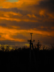 Forest landscape with pink sky