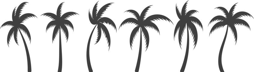 Fototapeta na wymiar Black palm trees