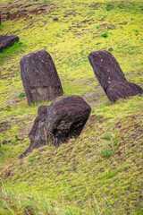 moais in the quarry of Rano Raraku, in Rapa Nui, Easter Island