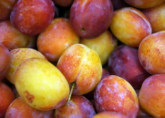 Close up of a pile of fresh ripe plums