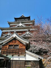 Obraz premium Hiroshima Castle through the trees