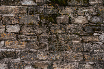 texture with a brick wall background