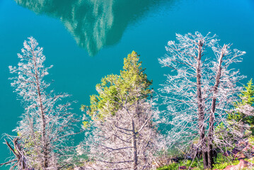 Views of trees with a mountain reflected in a crystal clear lake in Glacier National Park in Montana