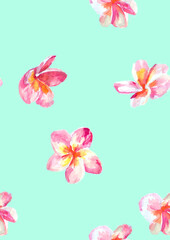 A pattern of pink watercolor plumeria flowers