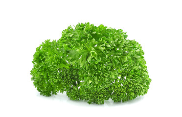 Fresh parsley leaves isolated on transparent background. PNG