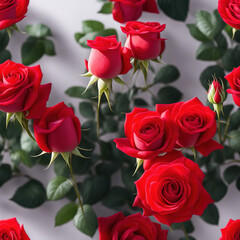 Red rose flowers sunlight bright background