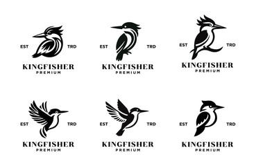 Kingfisher bird logo icon design illustration