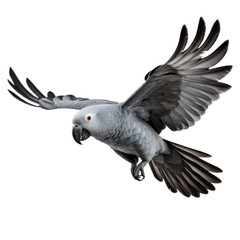 African grey parrot flying. Isolated on transparent background. AI generated.