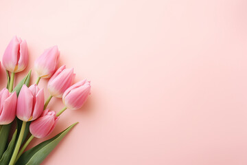 pink tulips in the right corner on a peach background - obrazy, fototapety, plakaty