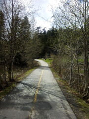 Ein Bär am Ende des Weges