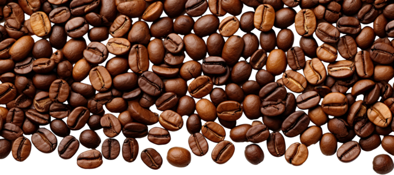Coffee beans border illustration PNG element cut out transparent isolated on white background ,PNG file ,artwork graphic design.