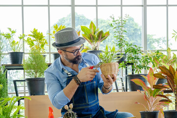 Hipster elderly men take care of the trees, pruning trees with scissors as a hobby of urban home...