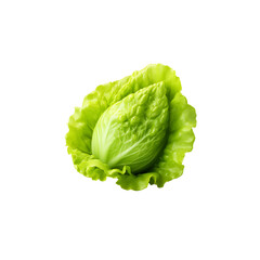 Salad leaf, Lettuce isolated on transparent PNG