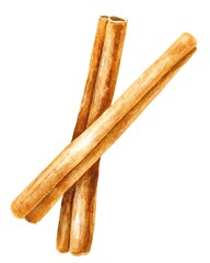 Cinnamon sticks isolated on white hand drawn food illustration 