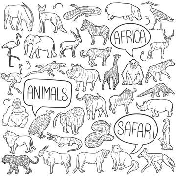 Safari Doodle Icons Black and White Line Art. Animals Clipart Hand Drawn Symbol Design.