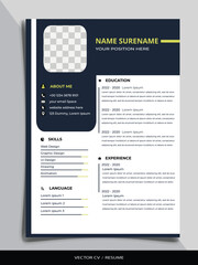 Professional Resume CV vector Graphic Template