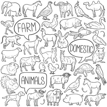Domestic Animals Doodle Icons Black and White Line Art. Farm Pets Clipart Hand Drawn Symbol Design.