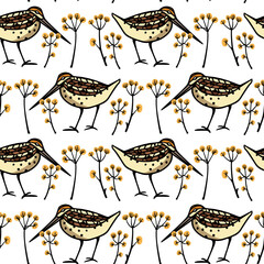 Vector seamless pattern with hand drawn sweet snipes among graceful flowers. Ink drawing, decorative graphic style. Beautiful animal design elements, perfect for prints and patterns - obrazy, fototapety, plakaty
