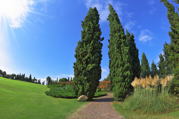 Comfortable walking path. Photo taken fisheye lens