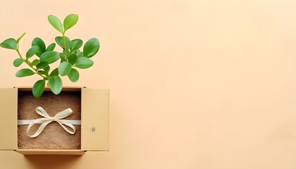 Eco, zero waste, plastic free and saving energy minimal concept from sprout with green leaves growing from recycled cardboard box and craft packages top view
