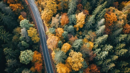Aerial photo of autumn forest with a long road passing by. Nature