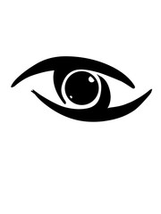 eye of the person beautiful eyes vector ilustration