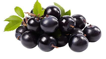 Acai berry, transparent background, high-resolution image, superfood, dark purple color, acai berry clipart, antioxidant-rich fruit illustration