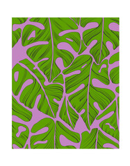 Green dracena leaves on pink background