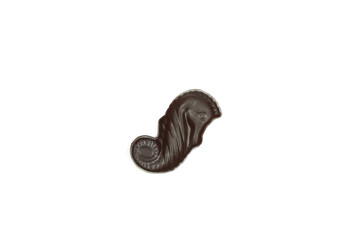 Single dark chocolate seahorse praline isolated on white background