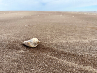 Beach near the national park Campos del Tuyú. Environmental around San Clemente in Argentina. 