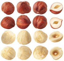 Collection of raw and peeled hazelnuts. Whole and cut of hazelnut in different shapes isolated on...