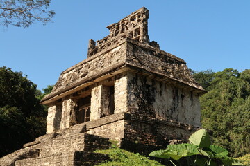 Fototapeta na wymiar Close up on the upper part of the Temple of the Sun/Templo del Sol in the early morning at Palenque archaeological site, Mexico