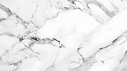 An intricate winter landscape emerges from the snowy depths of a marble sketch, its abstract black veins guiding the viewer through a delicate and captivating drawing