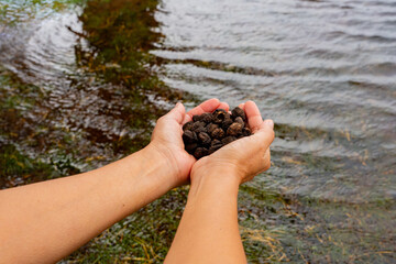 Close up of hands together holding seeds as an offering along the shore of a lake in Ireland