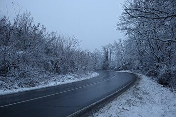 Obraz premium Snowy Road near the forest, winter background