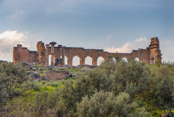 Volubilis, Morocco - touristic attraction and a Roman archaeological site situated near Meknes.