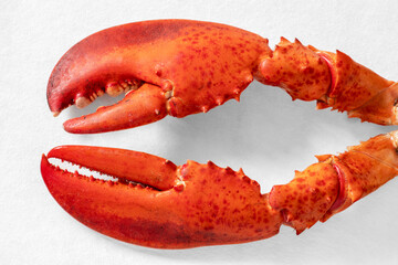 Red cooked lobster claws on a white background
