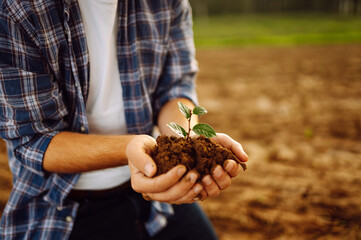 A man holds a green plant in his hands. In the palms of the farmer they sprout on fertile soil....