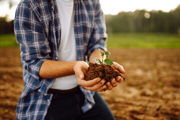 A man holds a green plant in his hands. In the palms of the farmer they sprout on fertile soil....