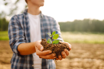 A man holds a green plant in his hands. In the palms of the farmer they sprout on fertile soil....