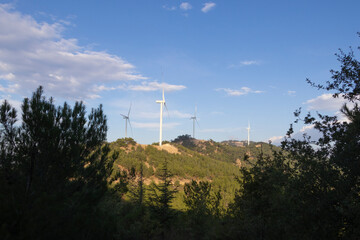 Wind turbines among the trees in the forest area, under a beautiful sky