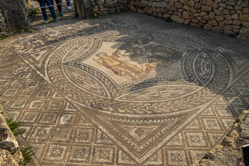 Floor mosaic in Orpheus house at archaeological Site of Volubilis.