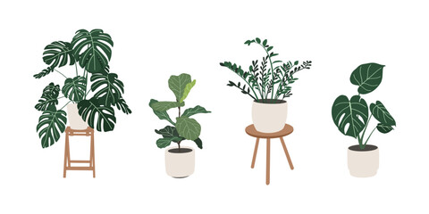House plants set. Trendy home decor with plants, tropical leaves in stylish planters and pots. Home garden. Scandinavian cozy home decor. Hand drawn vector design © Maryia Lishankova