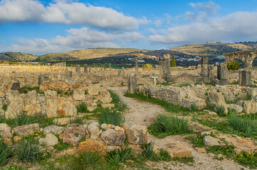 Fototapeta na wymiar Volubilis, Morocco - touristic attraction and a Roman archaeological site situated near Meknes.